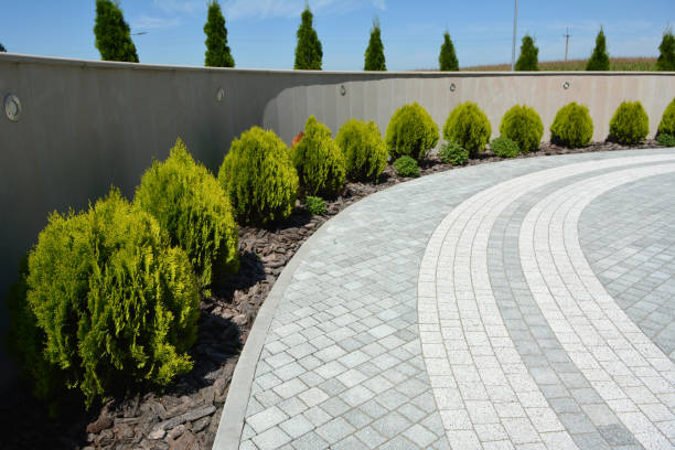 Best Brick Driveway Pavers  in Lonsdale, MN
